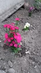 Менеджер по персоналу