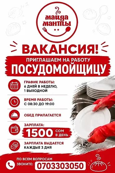 Талап кылынат Идиш жуучу, Төлөм: Күнүмдүк