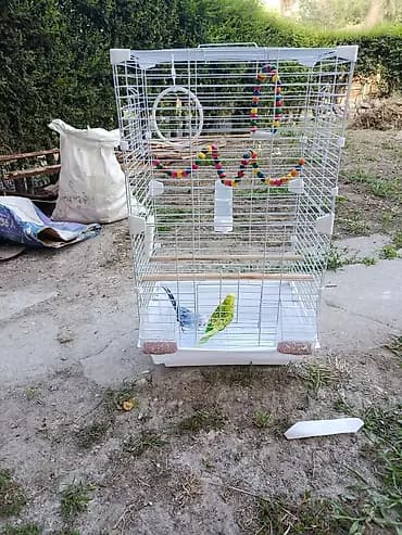 Клетка для папугая по выгодной цене вы не найдёте дешевле