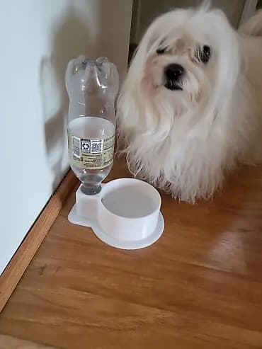 Миски и поилки для домашних животных (3D‑печать) - Автопоилка с