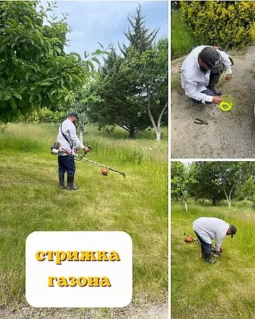 Уборка территории, Стрижка газона
