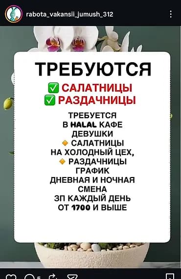Талап кылынат Бөлүштүрүү линиясы кызматкери тез татым жайы