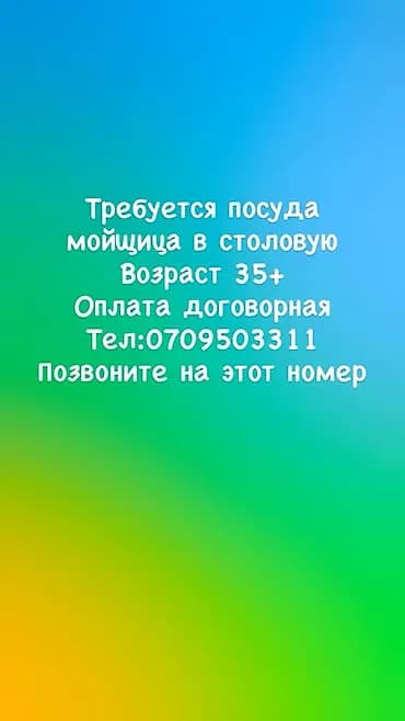 Талап кылынат Идиш жуучу