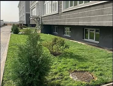 Аймактарды жыйнап тазалоо, Бак-дарактарга кам көрүү