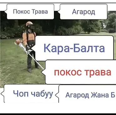 Уборка территории, Стрижка газона