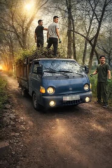 Аймактарды жыйнап тазалоо, Бак-дарактарга кам көрүү