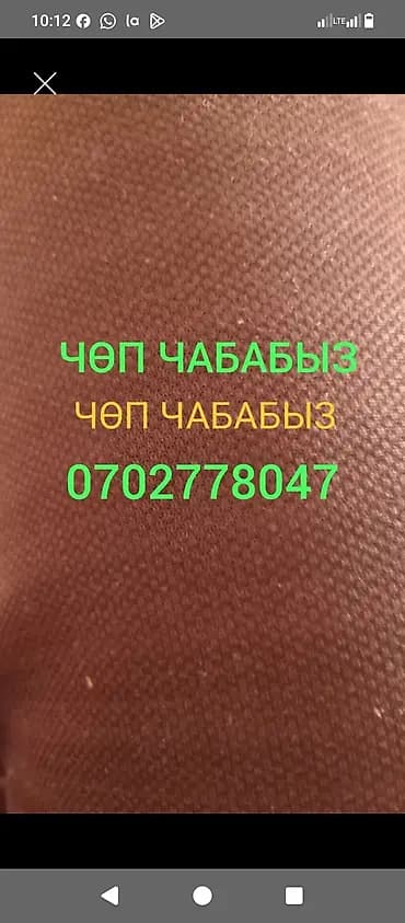 Уборка территории, Стрижка газона