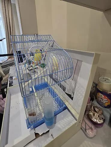 Клетка для волнистых попугаев с комплектом аксессуаров