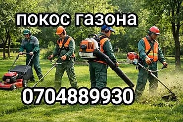 Уборка территории, Стрижка газона