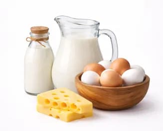 Сүт азыктары жана жумурткалар