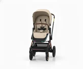 Жүрүш коляскасы