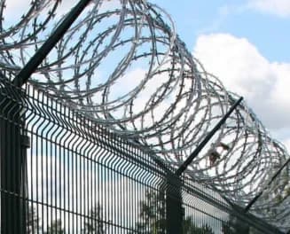 Колючая проволока Егоза