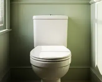 Фарфоровые унитазы