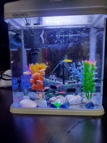 Продается новый аквариум. - Готовый набор: освещение + фильтрация + at lalafo.kg Продается новый аквариум. - Готовый набор: освещение + фильтрация +