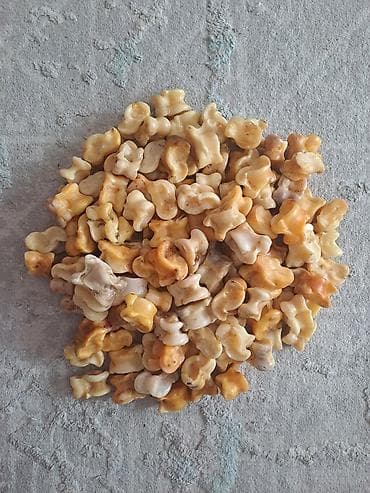 🔥 ПРОДАЮ АЛЬЧИКИ 🔥 Есть в наличии красивые и крепкие альчики 🐏 at lalafo.kg 🔥 ПРОДАЮ АЛЬЧИКИ 🔥 Есть в наличии красивые и крепкие альчики 🐏