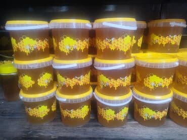 Продается чистый горный мед, таза тоо бал сатылат. больше 10 литров at lalafo.kg Продается чистый горный мед, таза тоо бал сатылат. больше 10 литров