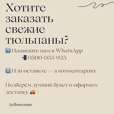 🌷 ТЮЛЬПАНЫ ОПТОМ 🌷 Свежие тюльпаны отличного качества — плотные at lalafo.kg 🌷 ТЮЛЬПАНЫ ОПТОМ 🌷 Свежие тюльпаны отличного качества — плотные