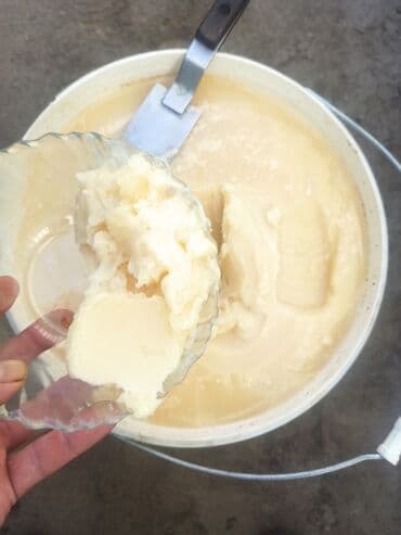 МЁД !!! БАЛ!!! Хорошего качества ! ЭСПАРЦЕТОВЫЙ ( белый)И ГОРНОЕ at lalafo.kg МЁД !!! БАЛ!!! Хорошего качества ! ЭСПАРЦЕТОВЫЙ ( белый)И ГОРНОЕ