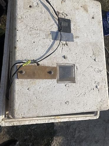 Инкубатор самодельный из пенополистирола на 104 яиц в рабочем at lalafo.kg Инкубатор самодельный из пенополистирола на 104 яиц в рабочем