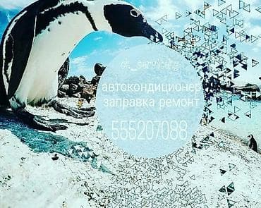 Компьютерная диагностика, Промывка, чистка систем автомобиля, Замена масел, жидкостей, без выезда at lalafo.kg Компьютерная диагностика, Промывка, чистка систем автомобиля, Замена масел, жидкостей, без выезда