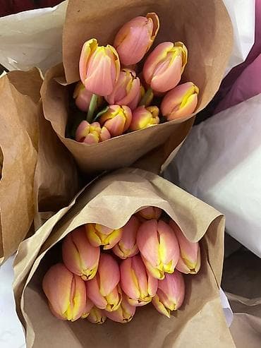 Бонбоньерки: Тюльпаны в крафт-упаковке - Срезанные тюльпаны с плотным бутоном at lalafo.kg — 9 Бонбоньерки: Тюльпаны в крафт-упаковке - Срезанные тюльпаны с плотным бутоном — 9