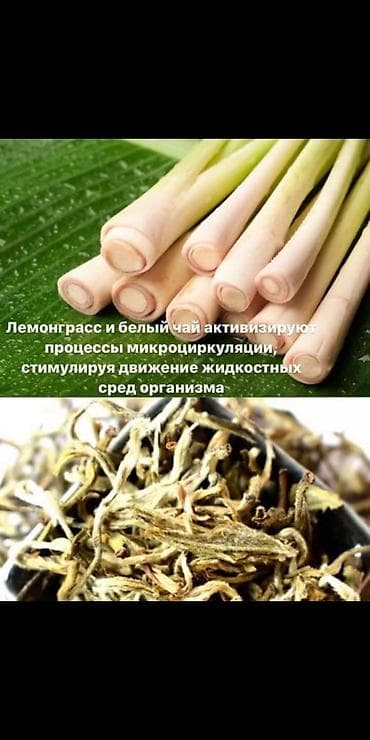 Драйнэффект от компании нл lalafo.kg да — 4 Драйнэффект от компании нл — 4