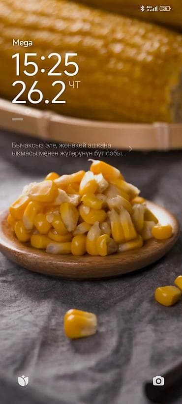 Доставка по оптовым ценам только по городу! at lalafo.kg Доставка по оптовым ценам только по городу!