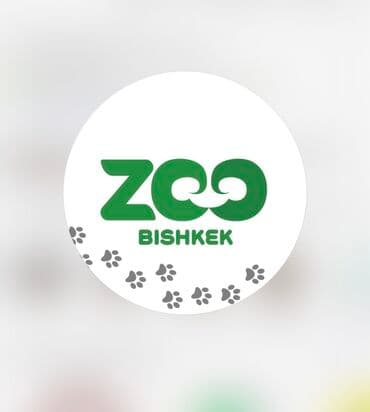 Требуется СОТРУДНИК ПАРЕНЬ в Реабилитационный Центр для Животных at lalafo.kg Требуется СОТРУДНИК ПАРЕНЬ в Реабилитационный Центр для Животных