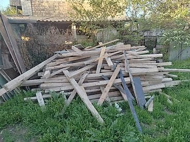 Хвоя at lalafo.kg Хвоя