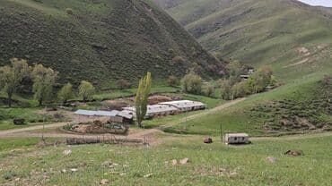 7400 соток, Для сельского хозяйства at lalafo.kg 7400 соток, Для сельского хозяйства