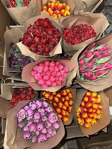 LED гирляндалар: Тюльпаны — срезанные, свежие, в ассортименте сортов и оттенков. Что lalafo.kg да — 3 LED гирляндалар: Тюльпаны — срезанные, свежие, в ассортименте сортов и оттенков. Что — 3