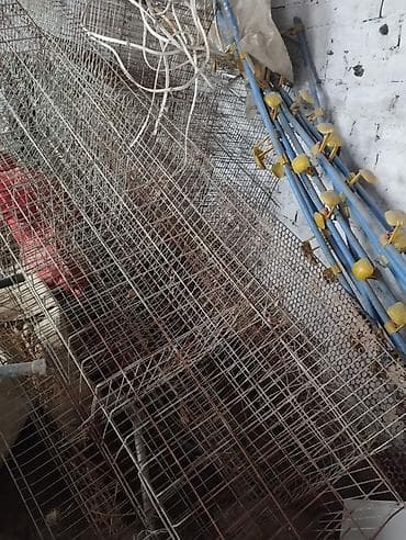 Клеточные батареи для птицы + система ниппельного поения Описание: - at lalafo.kg Клеточные батареи для птицы + система ниппельного поения Описание: -