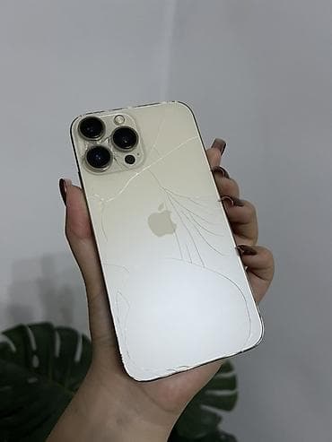 IPhone 13 Pro, Б/у, 128 ГБ, Золотой, Чехол, 36 % at lalafo.kg IPhone 13 Pro, Б/у, 128 ГБ, Золотой, Чехол, 36 %