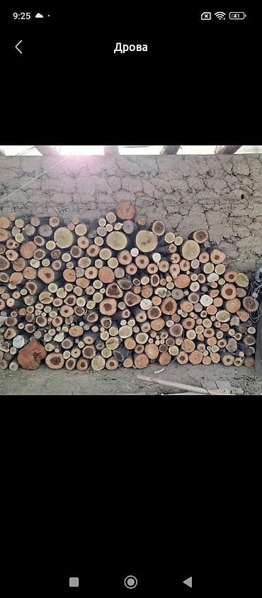 Дрова Платная доставка at lalafo.kg Дрова Платная доставка