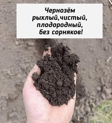 Чернозём плодородный для огорода, газона и ландшафта. Характеристики at lalafo.kg Чернозём плодородный для огорода, газона и ландшафта. Характеристики