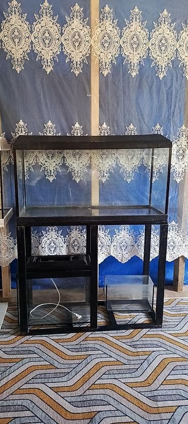 Аквариум 80 литров с тумбой at lalafo.kg Аквариум 80 литров с тумбой