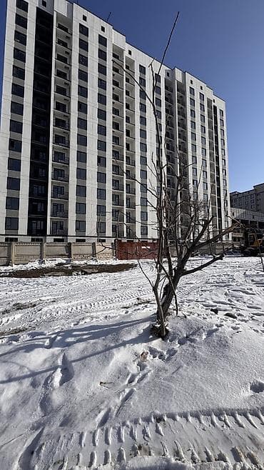 Линолеум: 3 бөлмө, 96 м², Элитка, 3 кабат, Евроремонт lalafo.kg да — 4 Линолеум: 3 бөлмө, 96 м², Элитка, 3 кабат, Евроремонт — 4