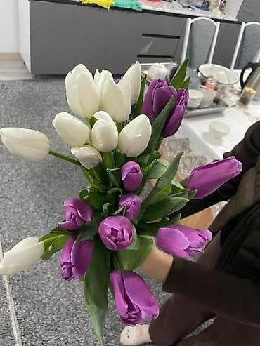 Букеты из тюльпанов - Состав: свежесрезанные тюльпаны с плотными at lalafo.kg Букеты из тюльпанов - Состав: свежесрезанные тюльпаны с плотными