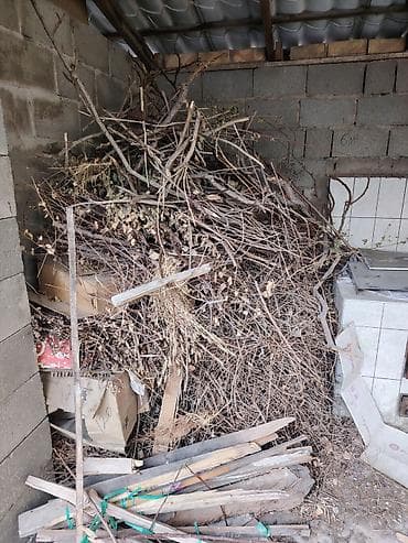 Дрова at lalafo.kg Дрова