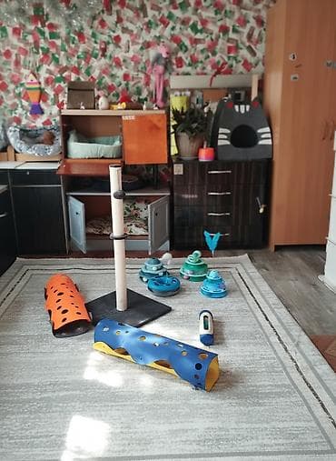 Гостиница для кошечек и маленьких собачек до 5 кг Предлагаем at lalafo.kg Гостиница для кошечек и маленьких собачек до 5 кг Предлагаем