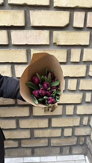 Proton: Порадуйте любимых ярким весенним настроением! Предлагаем свежие lalafo.kg да — 4 Proton: Порадуйте любимых ярким весенним настроением! Предлагаем свежие — 4