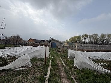 На садовый участок с грядками малины требуется женщина для сбора at lalafo.kg На садовый участок с грядками малины требуется женщина для сбора