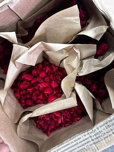 Бонбоньерки: Тюльпаны срезанные — готовые букеты в крафт-упаковке. - В at lalafo.kg — 2 Бонбоньерки: Тюльпаны срезанные — готовые букеты в крафт-упаковке. - В — 2