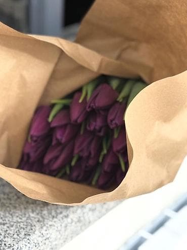 Тюльпаны с луковицами с теплиц. Оптом и в розницу at lalafo.kg Тюльпаны с луковицами с теплиц. Оптом и в розницу