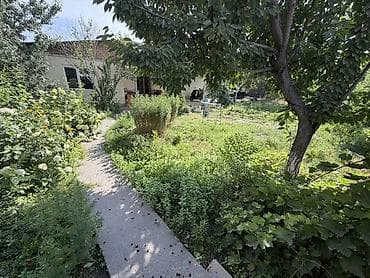 Участок с домом и большой крытой террасой - Зеленый участок с садом at lalafo.kg Участок с домом и большой крытой террасой - Зеленый участок с садом