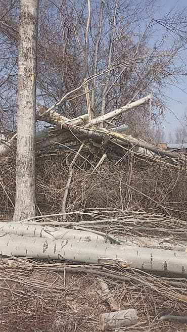 Өрт жабдуулары: Отун Терек, Өзү алып кетүү lalafo.kg да — 3 Өрт жабдуулары: Отун Терек, Өзү алып кетүү — 3