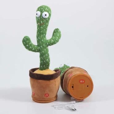 Танцующий кактус Качество отличное! Новые! Успейте приобрести! at lalafo.kg Танцующий кактус Качество отличное! Новые! Успейте приобрести!