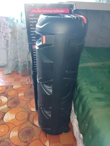 Портативная акустическая система Sing-e ZQS8301 - Тип lalafo.kg да Портативная акустическая система Sing-e ZQS8301 - Тип