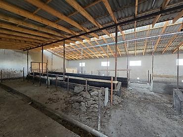 Продается сельскохозяйственный объект с готовыми капитальными at lalafo.kg Продается сельскохозяйственный объект с готовыми капитальными