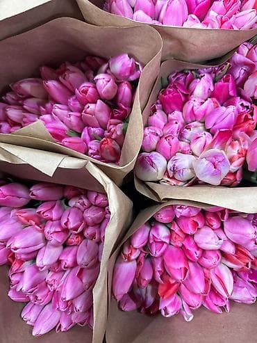 Бонбоньерки: Тюльпаны срезанные — готовые букеты в крафт-упаковке. - В at lalafo.kg — 1 Бонбоньерки: Тюльпаны срезанные — готовые букеты в крафт-упаковке. - В — 1